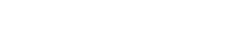 FLZ Logo